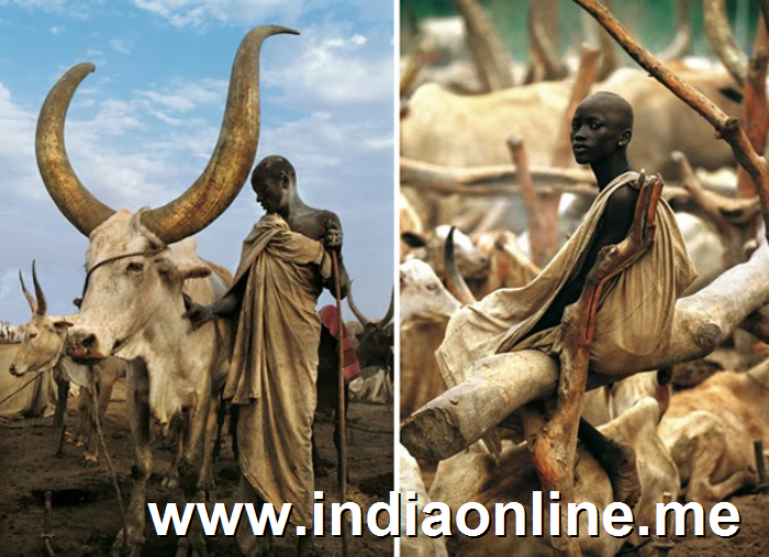 Impresionantes im�genes de una tribu de Sudan