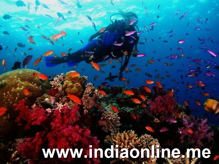 Andaman has to be on your list of places to visit in India