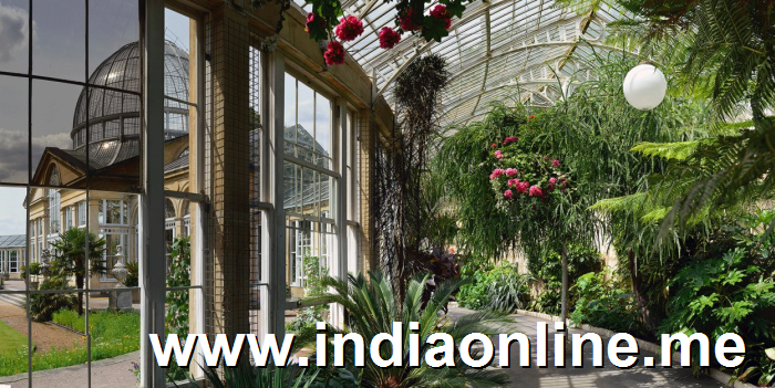 Great Conservatory at Syon House