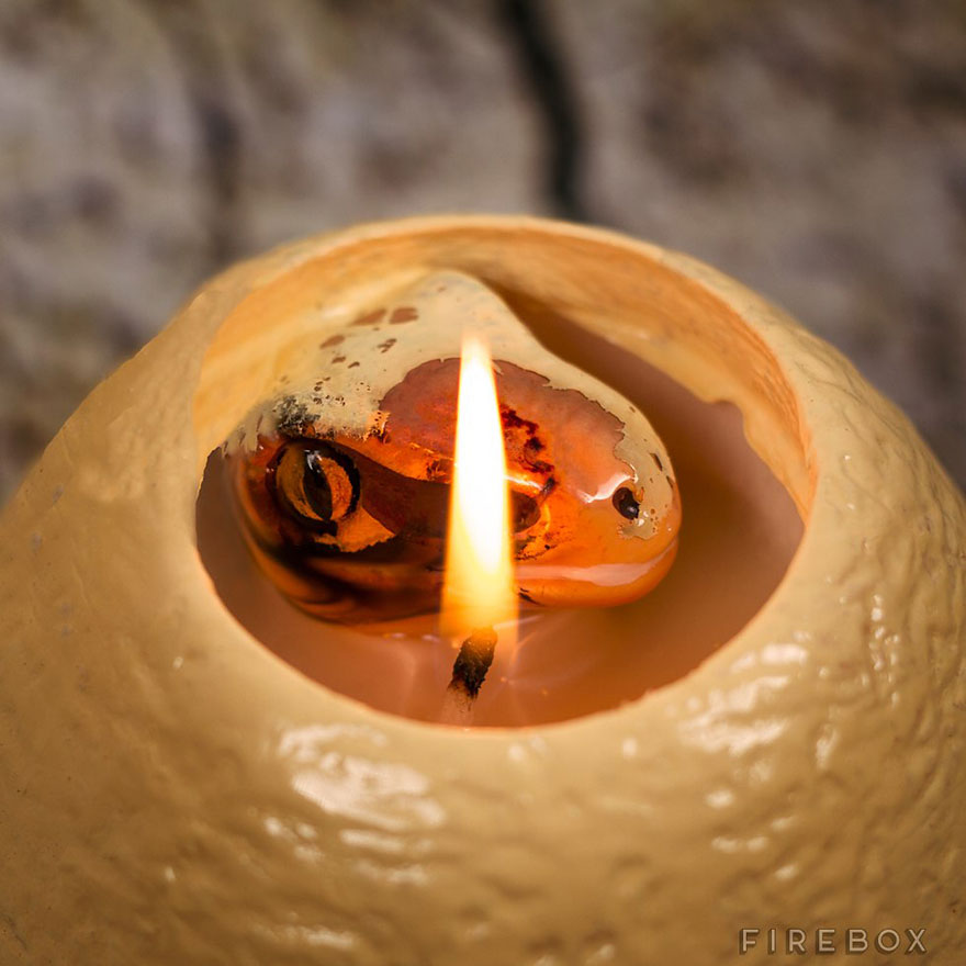 hatching-dinosaur-candle-raptor-firebox-3